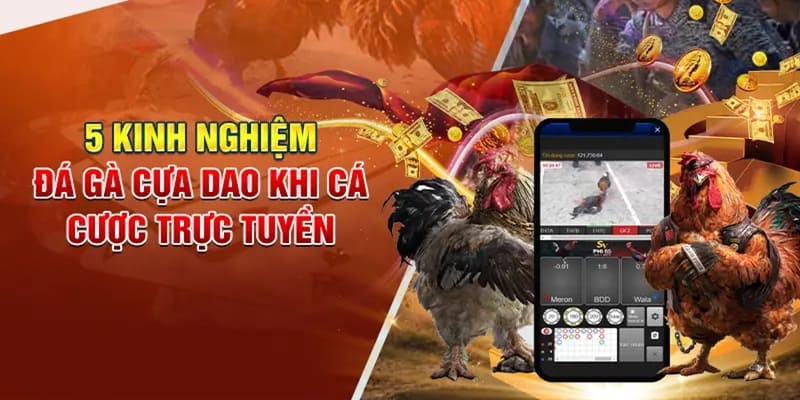 Đá Gà Cựa Dao - Hình Thức Chọi Kê Được Yêu Thích Nhất 2024 5 Kinh nghiệm cá cược luôn dành chiến thắng